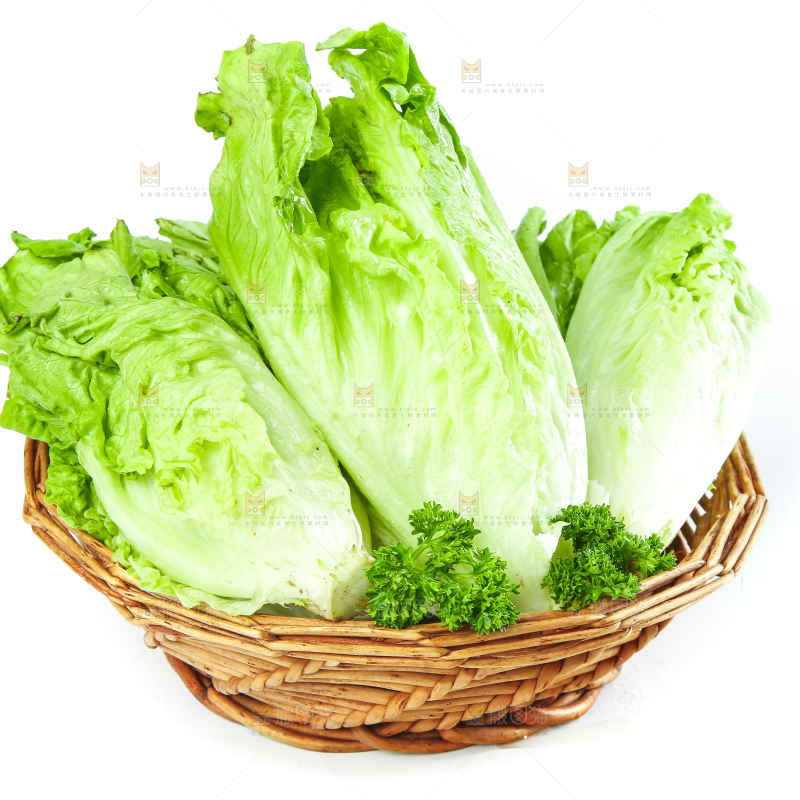 篮子里装着奶油生菜