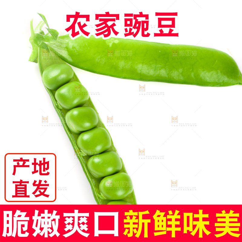 剥开的新鲜豌豆放在白底上