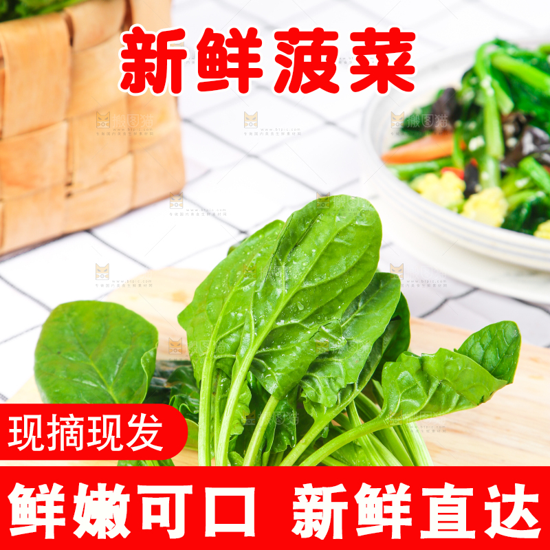 白格子底上的嫩菠菜