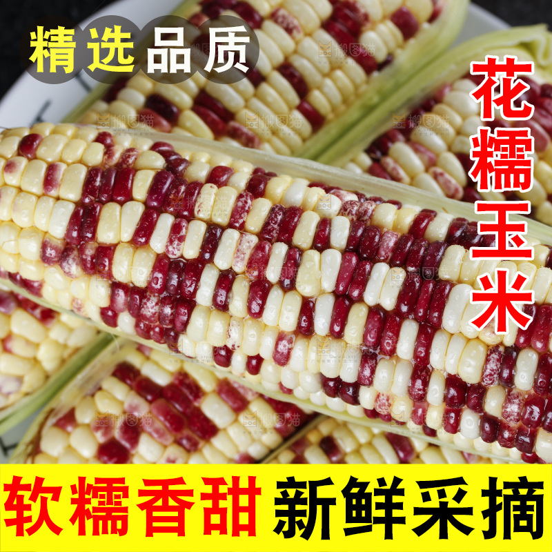 石板上放着一盘香糯玉米