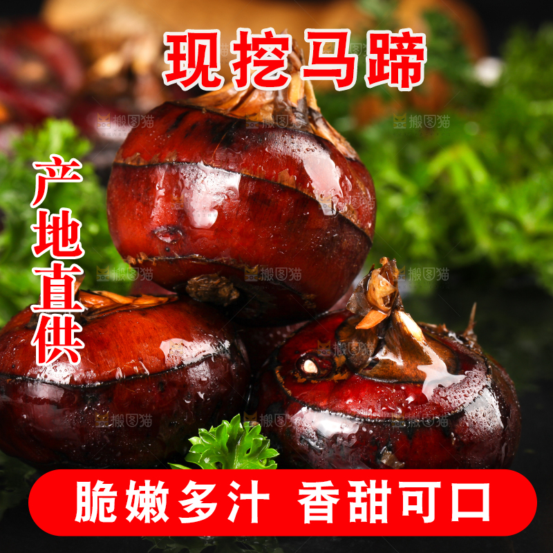 黑石板上的荸荠