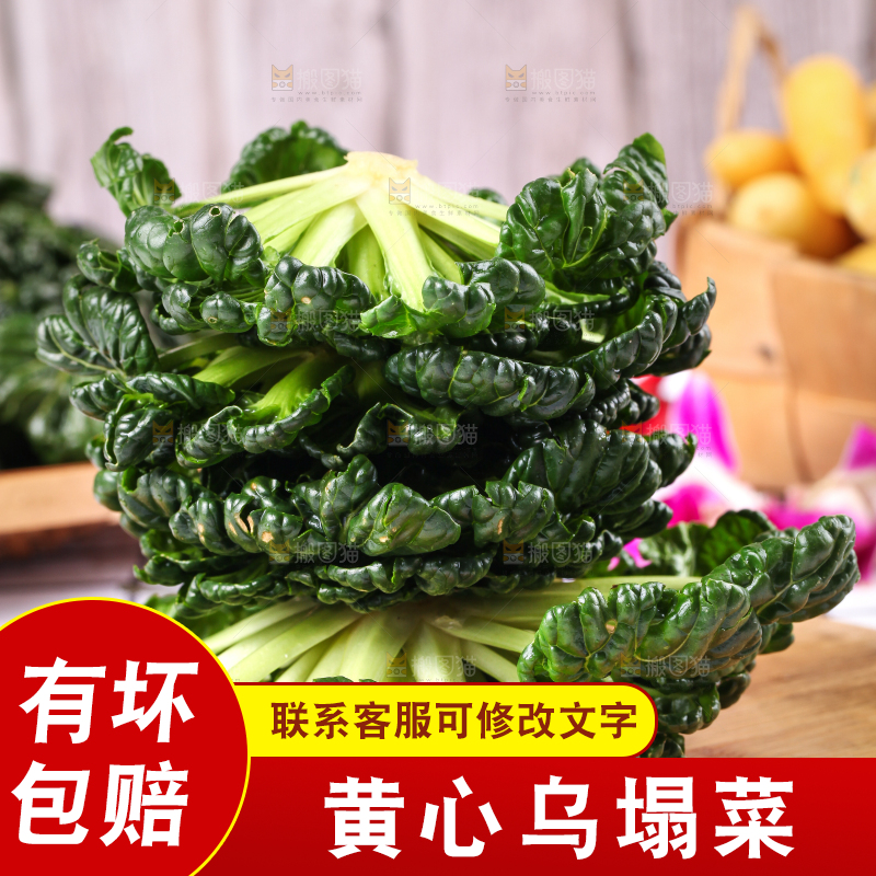 浅底上放着菊花菜