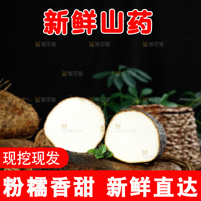 黑底上的金秤砣山药