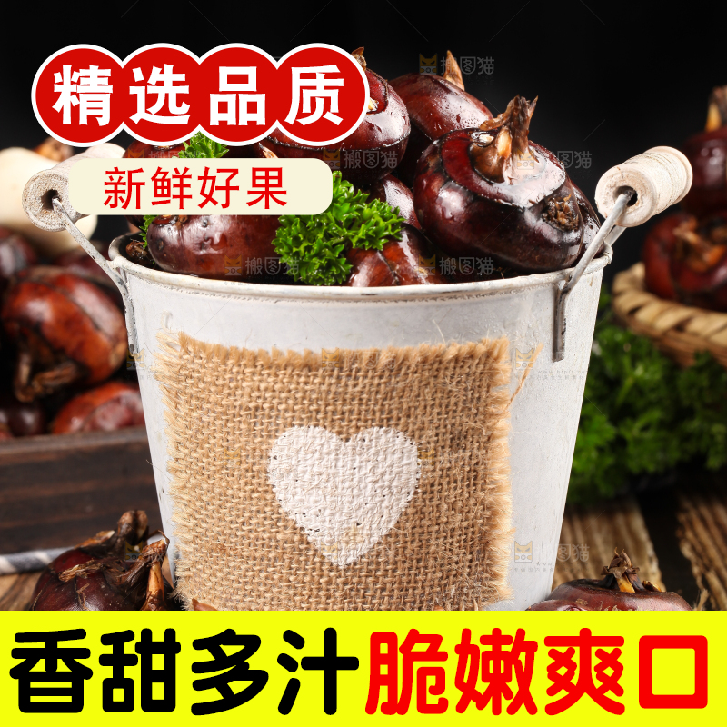 深底上的广西荔浦马蹄
