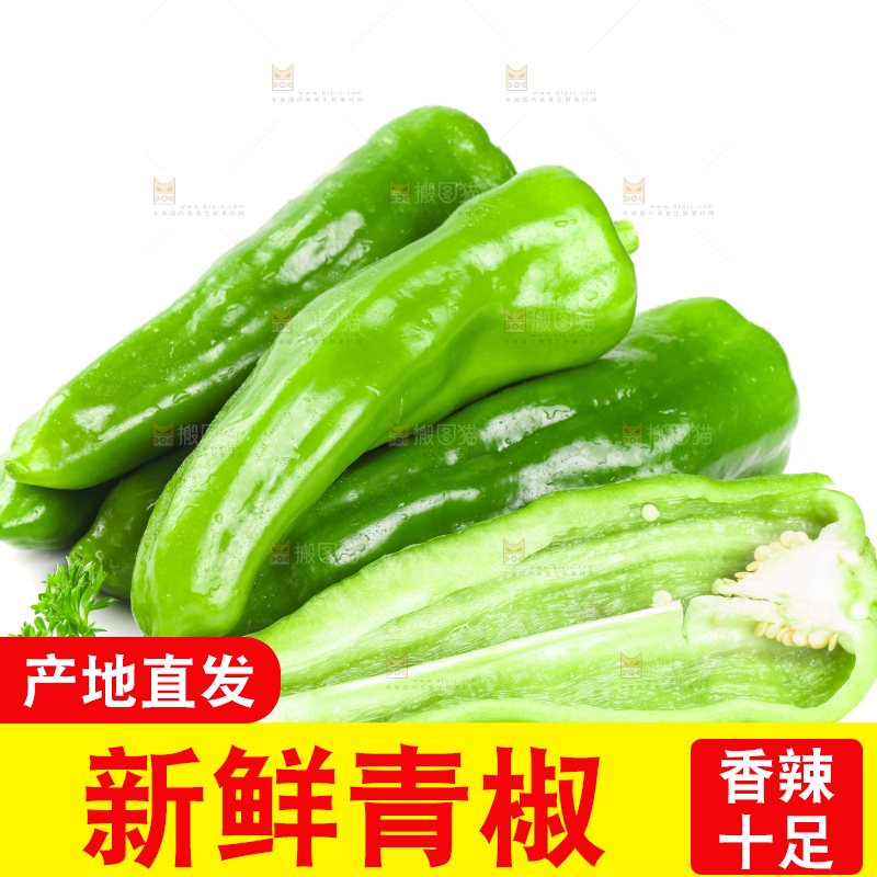 白底上摆放着农家青椒