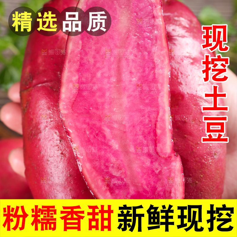 手里拿着云南红土豆