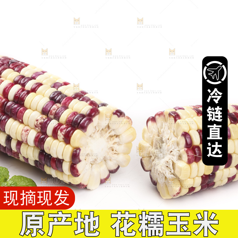 剥皮的花糯玉米放在白底上