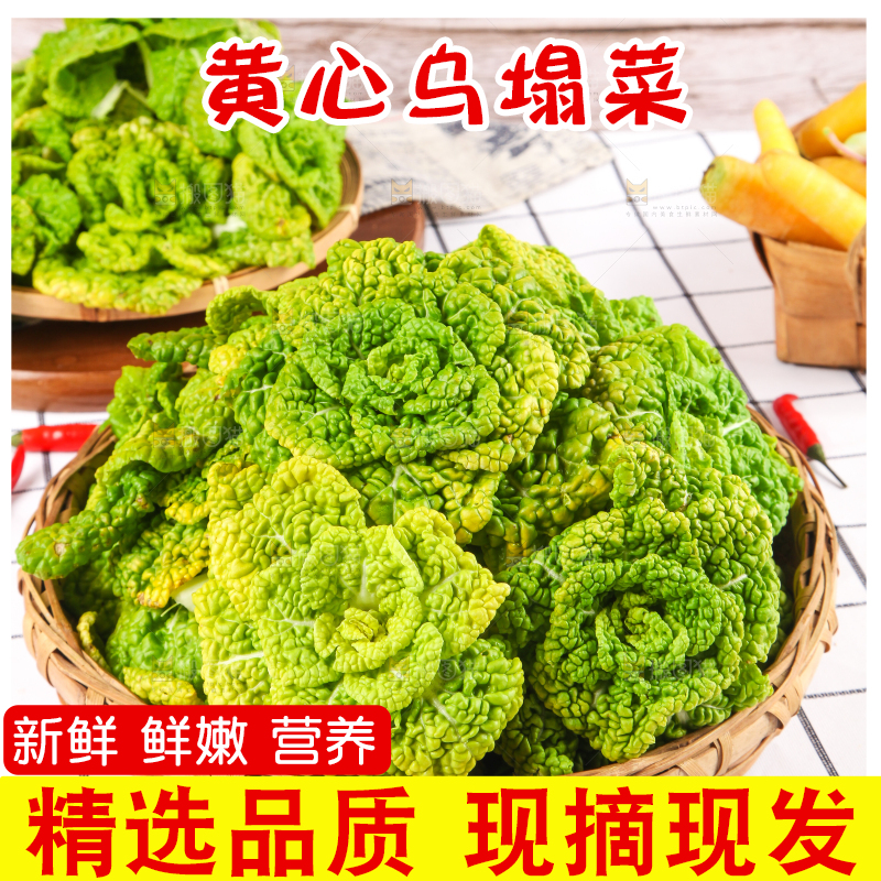 篮子里装着乌塌菜
