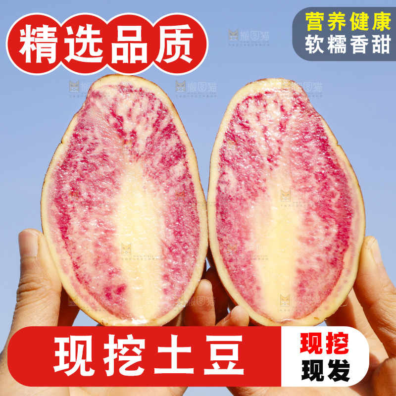 手里拿着丽江七彩土豆