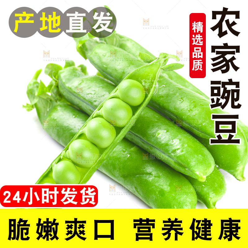 剥开的新鲜豌豆放在白底上
