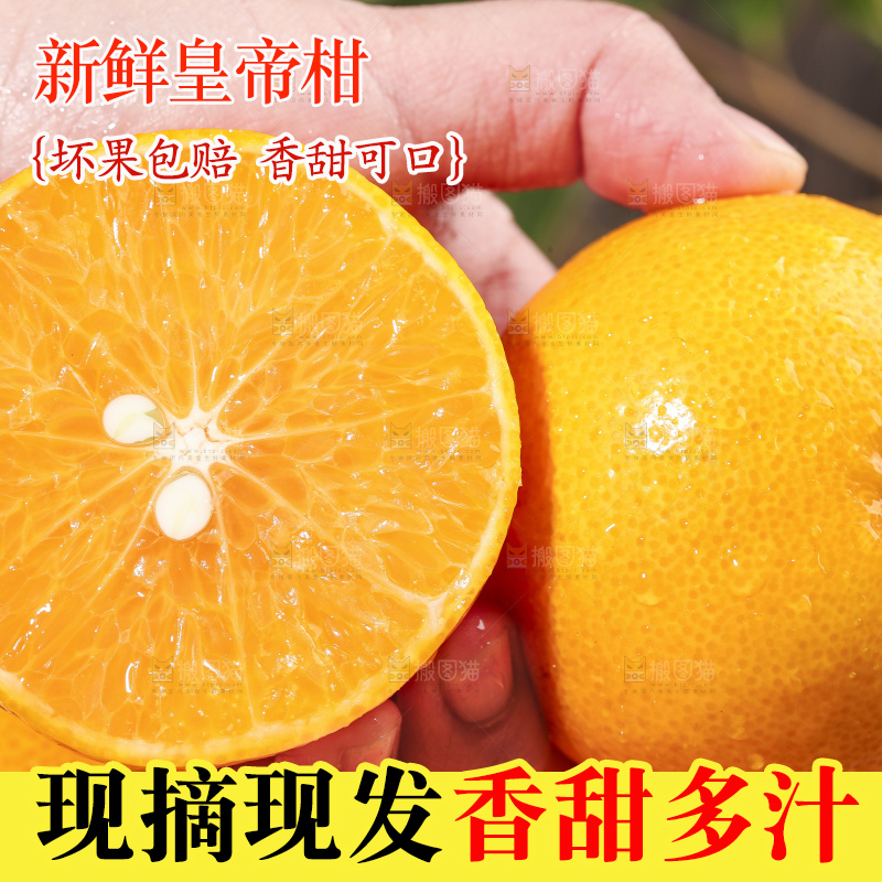 手拿切开的皇帝柑