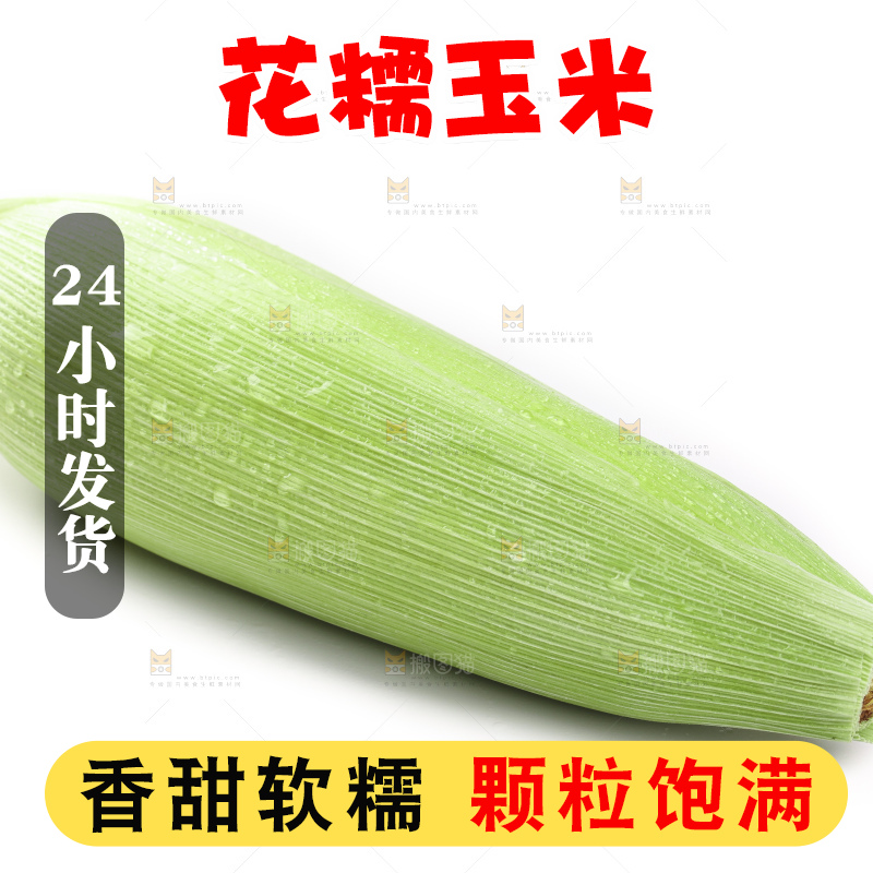 白底上的玉米