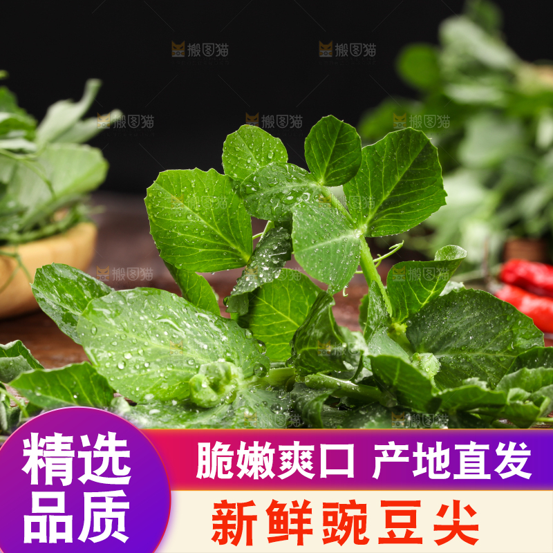 深底上的四川豌豆尖