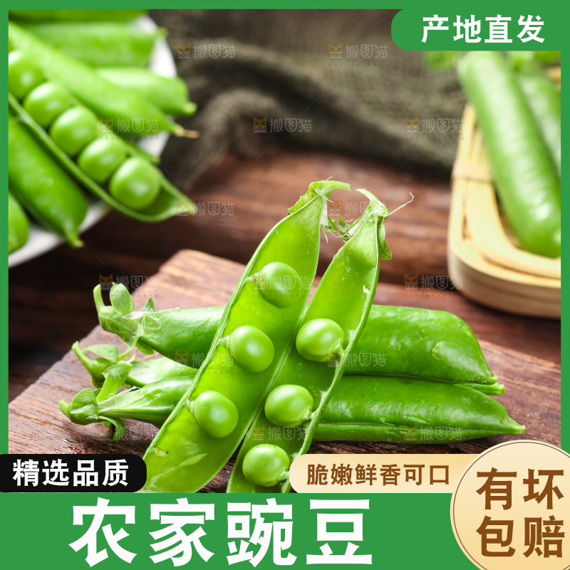 木底上的云南豌豆