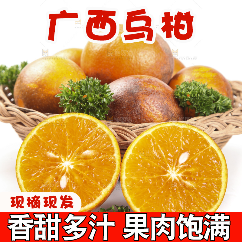 篮子里的广西乌柑