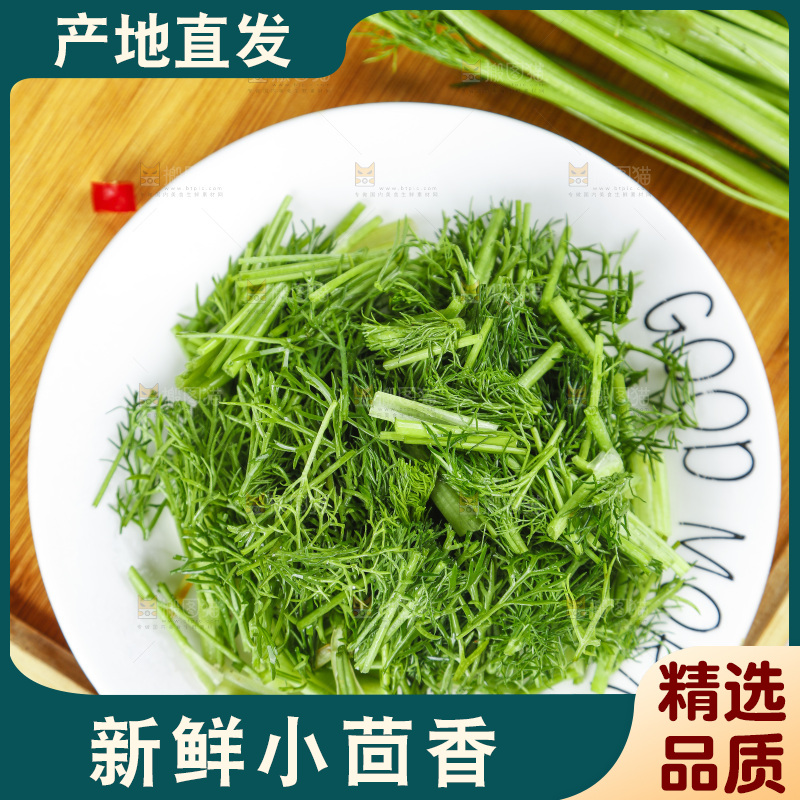 盘子里的云南小茴香菜