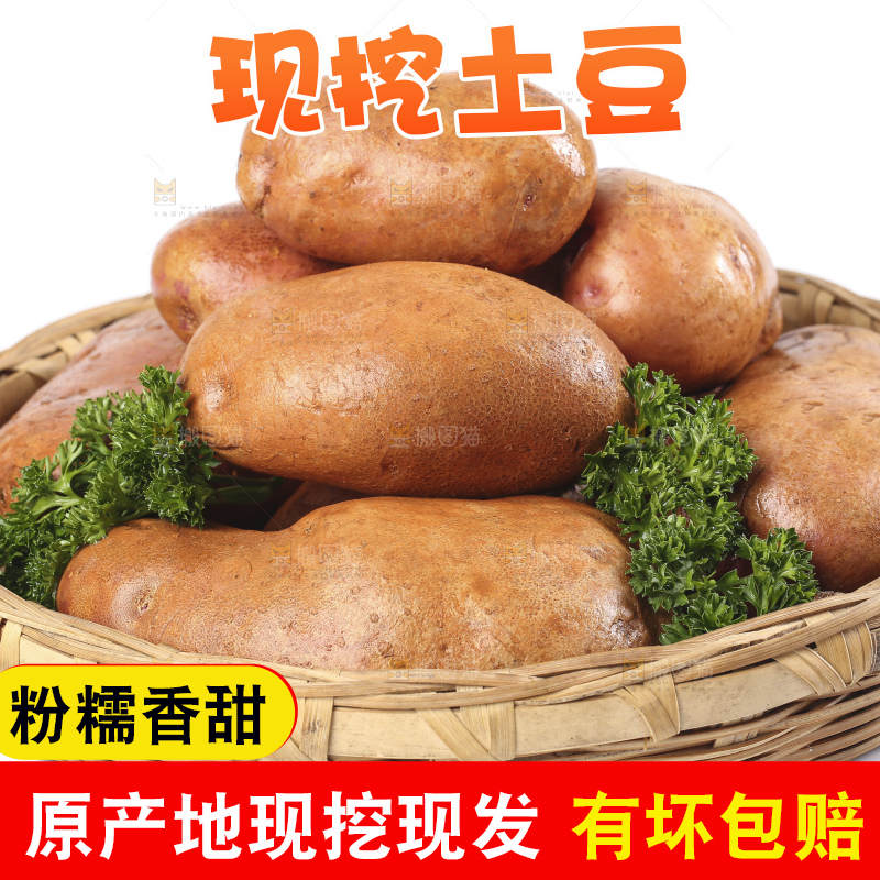 篮子里装着新鲜土豆