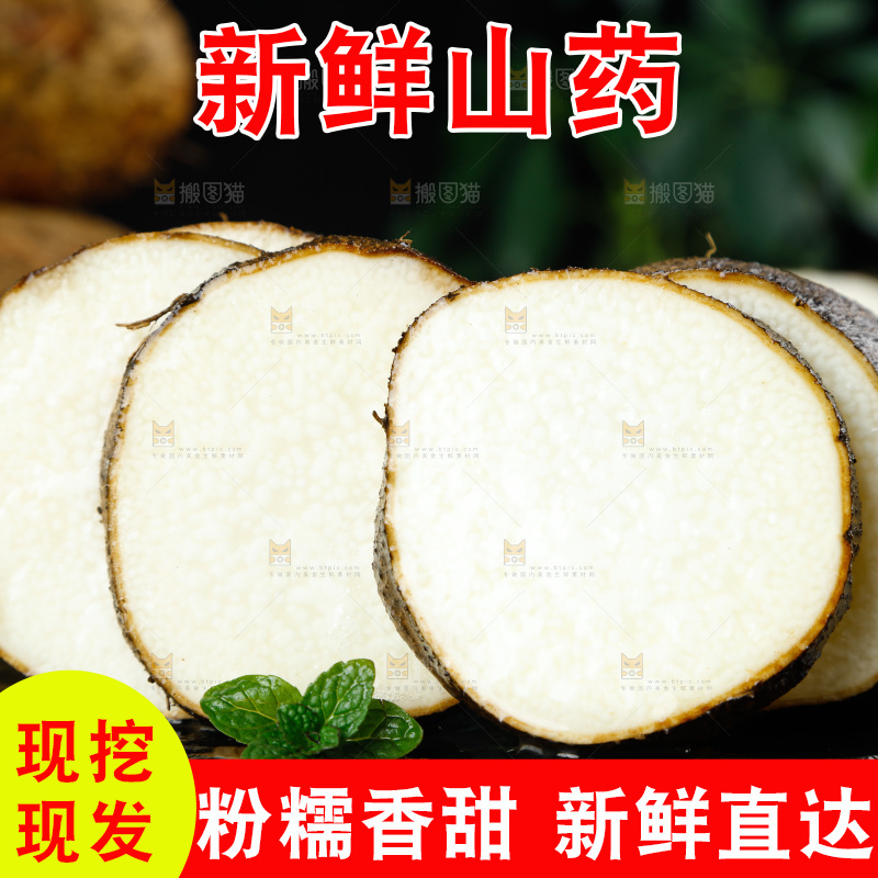 黑底上的金秤砣山药
