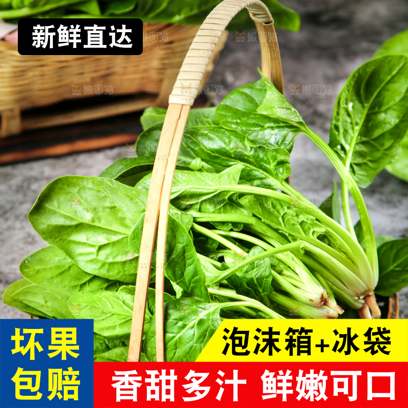 篮子里的红根菠菜