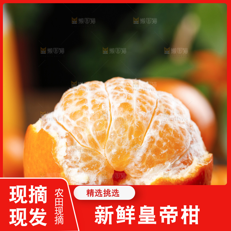 手拿剥皮的皇帝柑