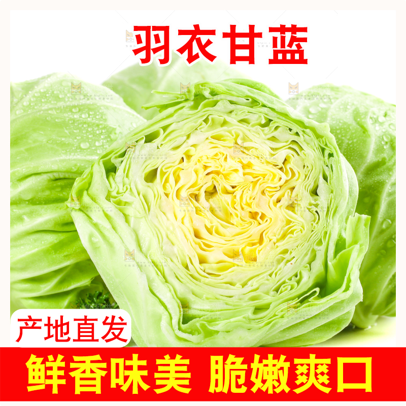 白底上摆放着包菜