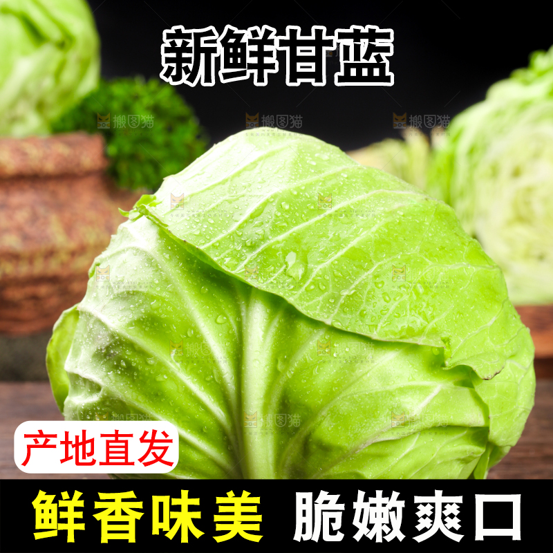 黑底上放着绿甘蓝