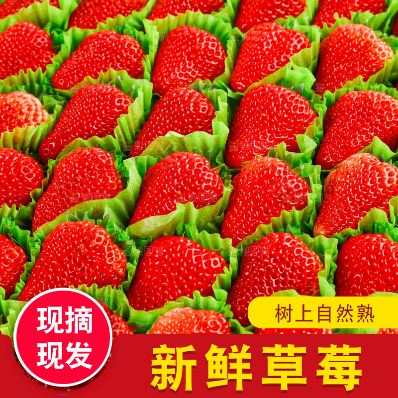 箱子里的新鲜草莓