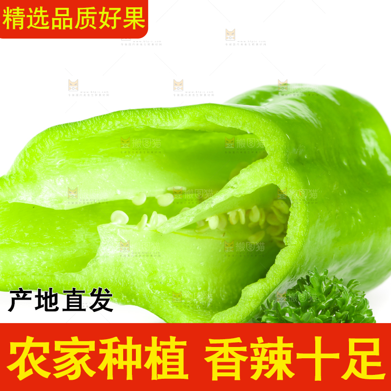 白底上摆放着农家青椒