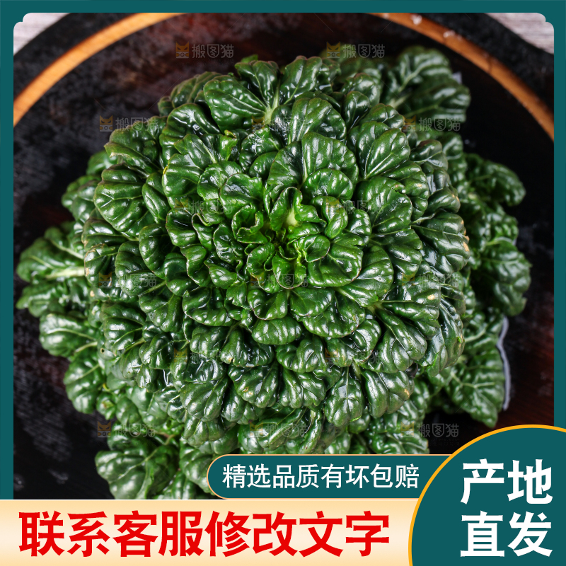 盘子里装着农家乌塌菜