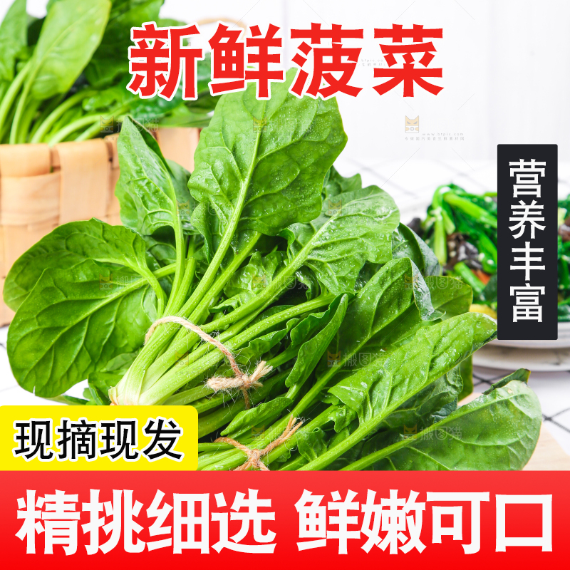 白格子底上的嫩菠菜