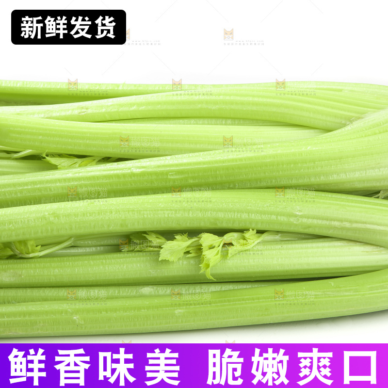 白底上的山东西芹