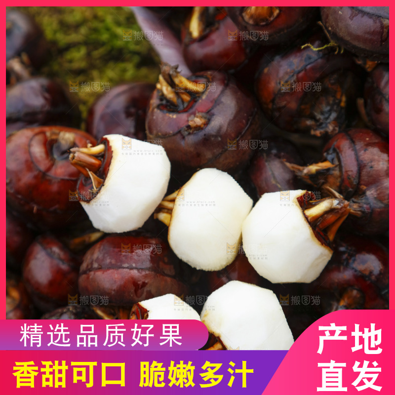 篮子里装着广西马蹄
