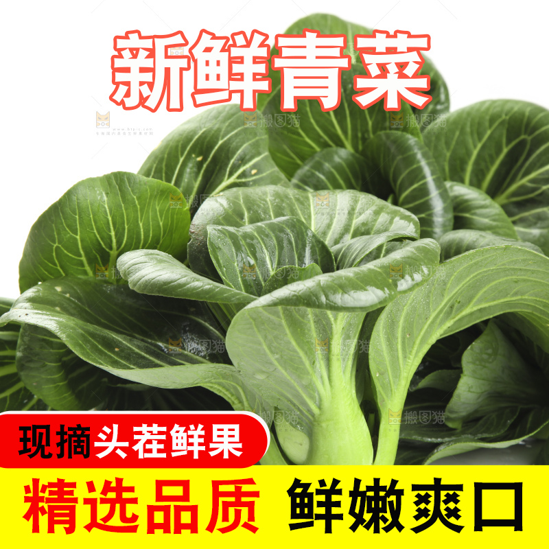 白底上放着上海青