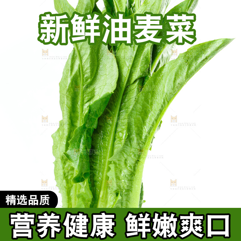白底上放着油麦菜