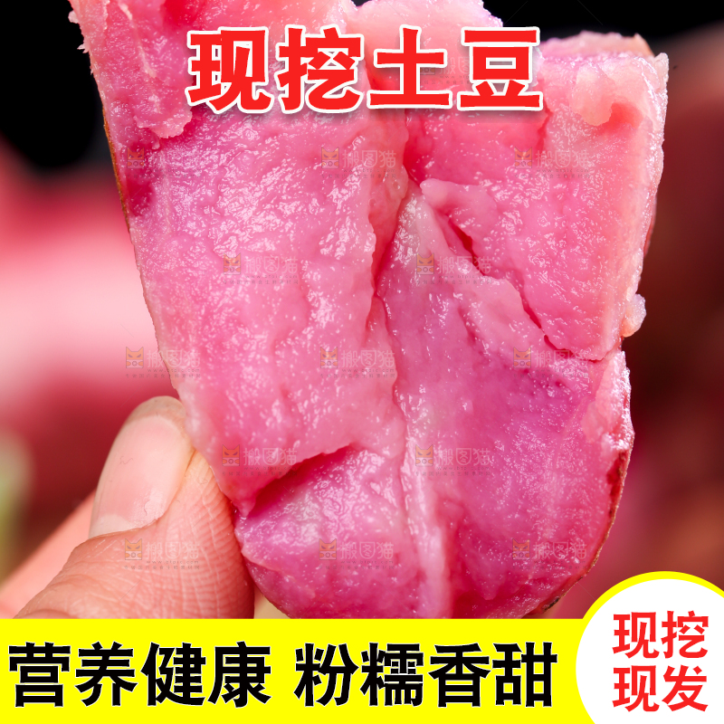 手里拿着云南红土豆