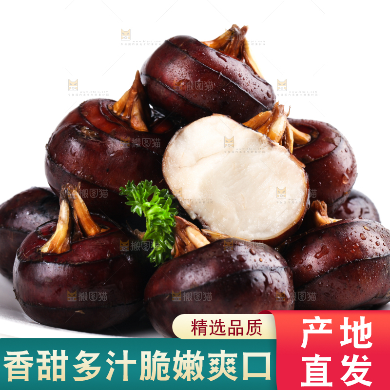 白底上摆放着乐昌北乡马蹄