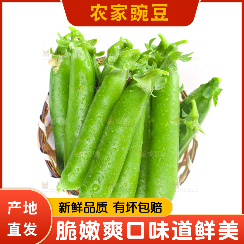 一筐新鲜豌豆放在白底上