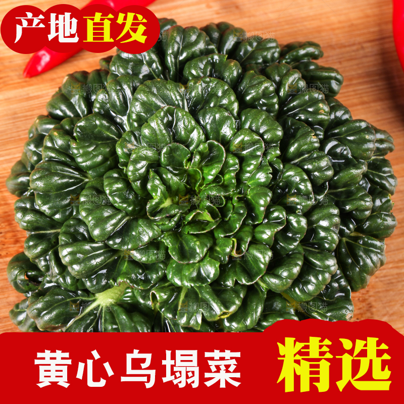 木板上放着菊花菜