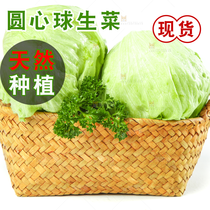 篮子里装着农家圆生菜