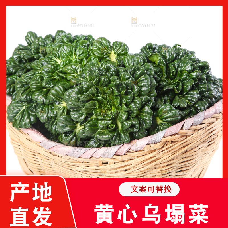 篮子里装着乌塌菜