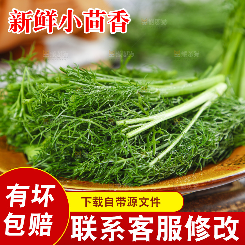 盘子里装着农家茴香菜