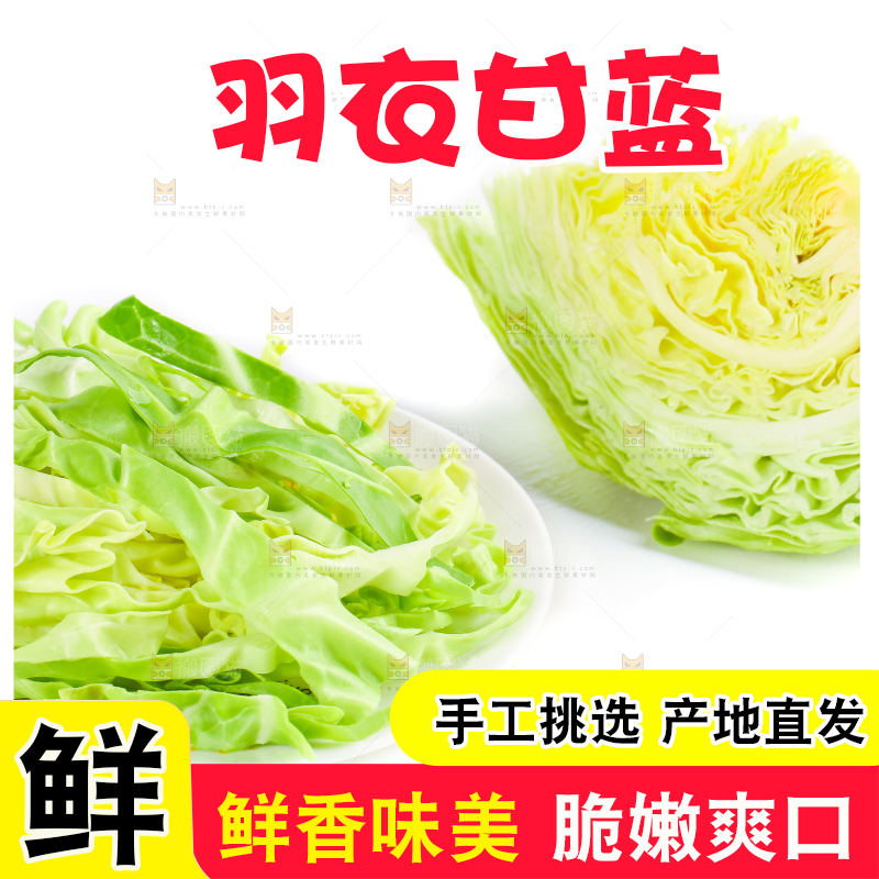 白底上摆放着包菜