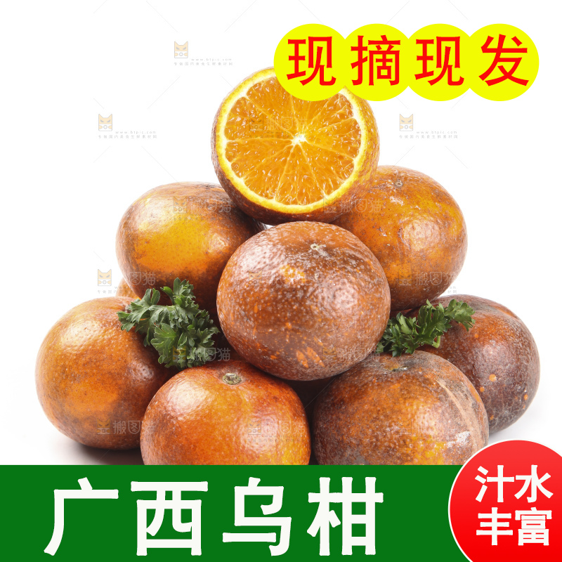 白底上摆放着乌柑