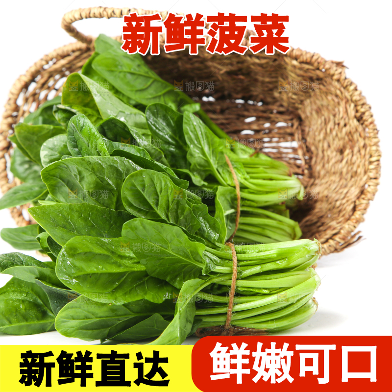 篮子里的红根菠菜