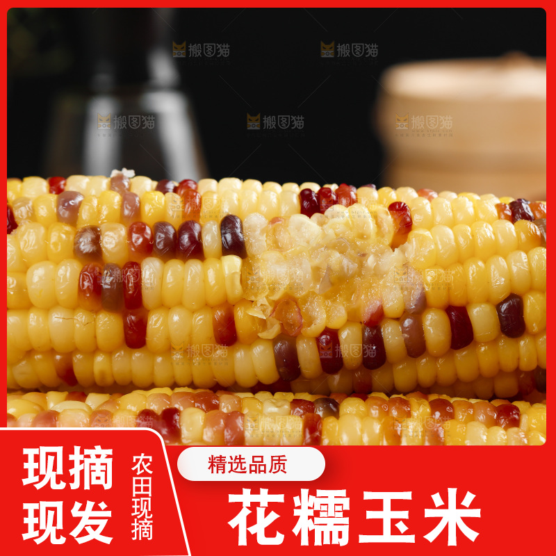 木底上的熟花糯玉米