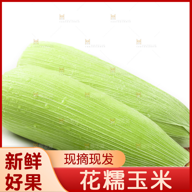白底上的玉米