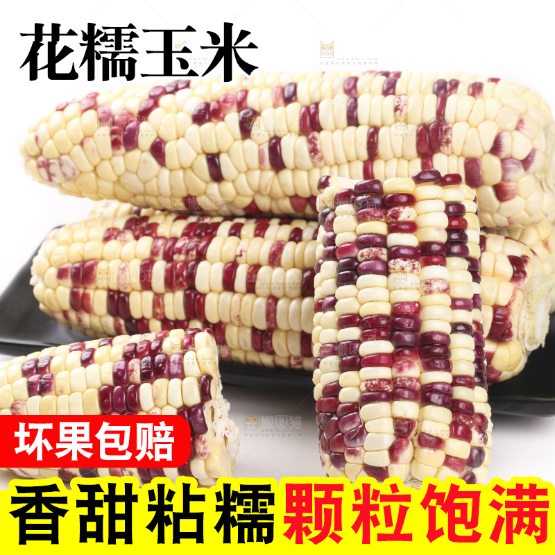 白底上放着一盘花糯玉米