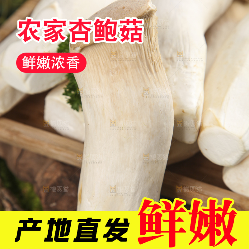 木底上的鸡腿菇