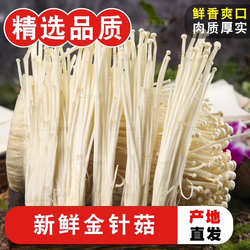 木底上的冬菇