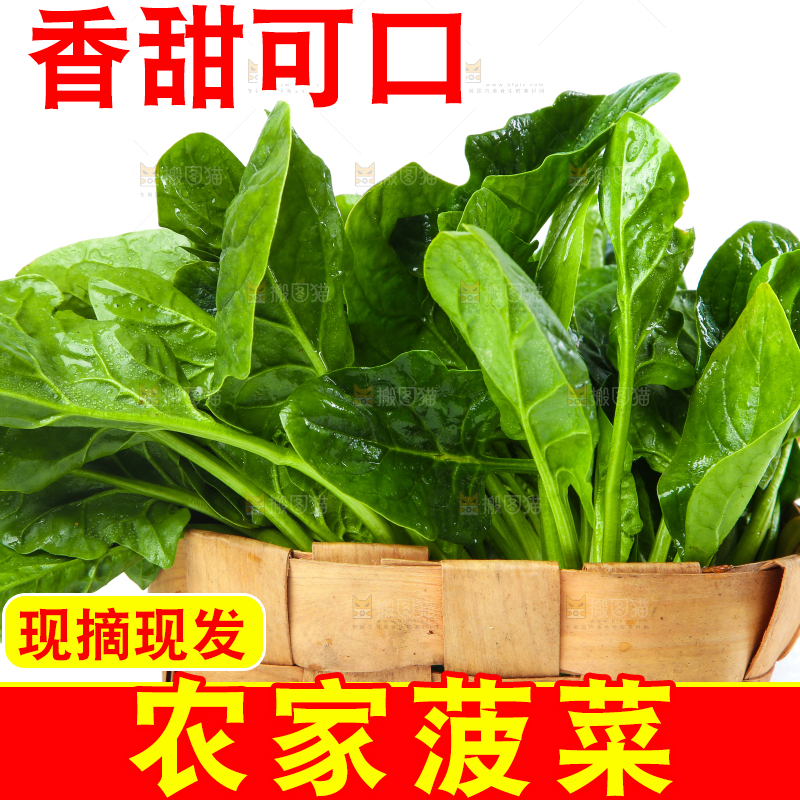 白底上放着菠菜